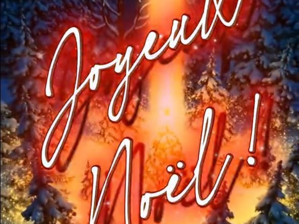 Image de l'actu 'JOYEUX NOËL !! :'